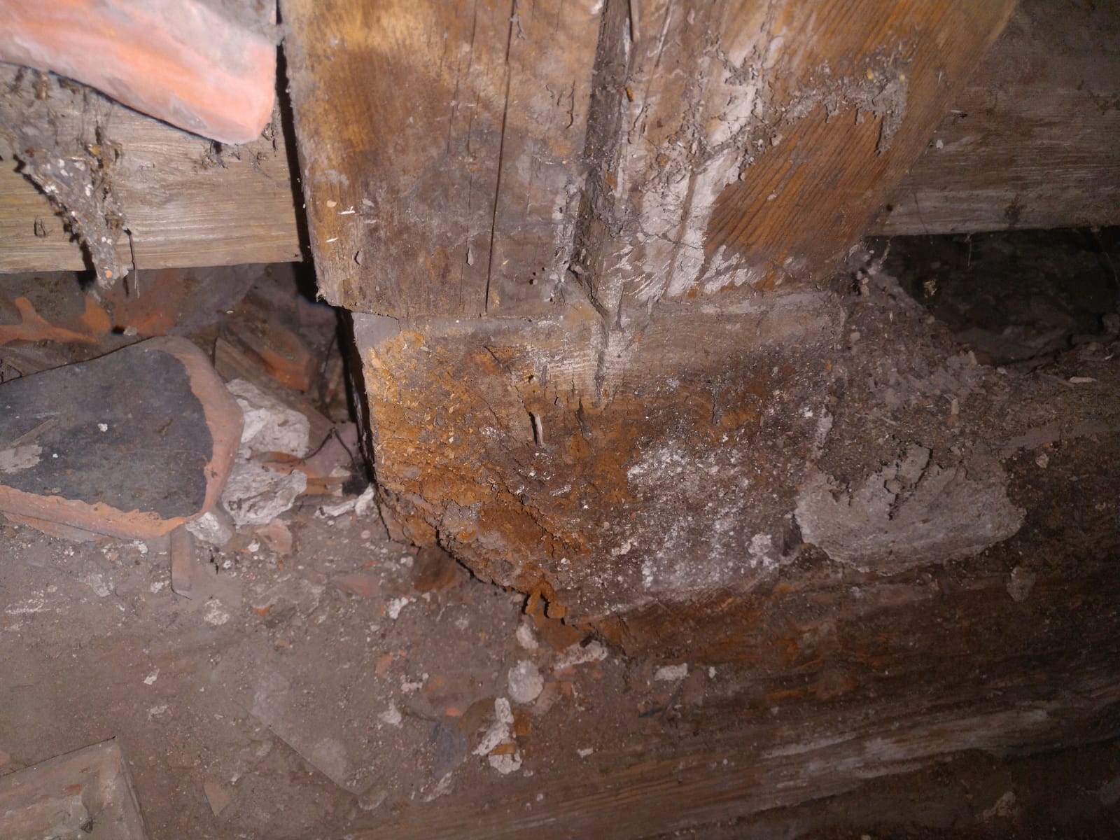 Spendenaufruf in eigener Sache Image